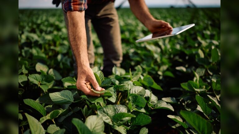 Farming