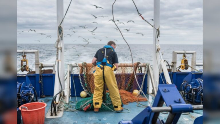 Fishing photo