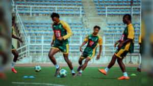 Kano Pillars
