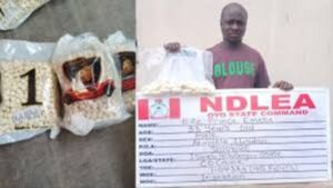 NDLEA intercepts Captagon shipment and uncovers massive drug trafficking network during nationwide operations across Kwara State and Nigeria