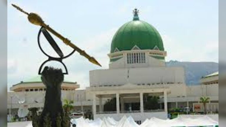 Nigerian lawmakers debate national assembly bill as House of Representatives pushes 50-year economic plan across Abuja legislative chamber