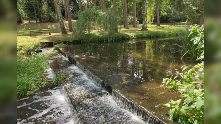 River Amber