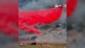 See How Fast-Moving Wildfires Forced Thousands of Residents to Evacuate in Southern California