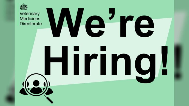 VMD Hiring
