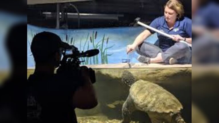Giant Turtle Big Snap Daddy Captivates Nebraska Community Before Sudden Death at Schramm Education Center Gretna