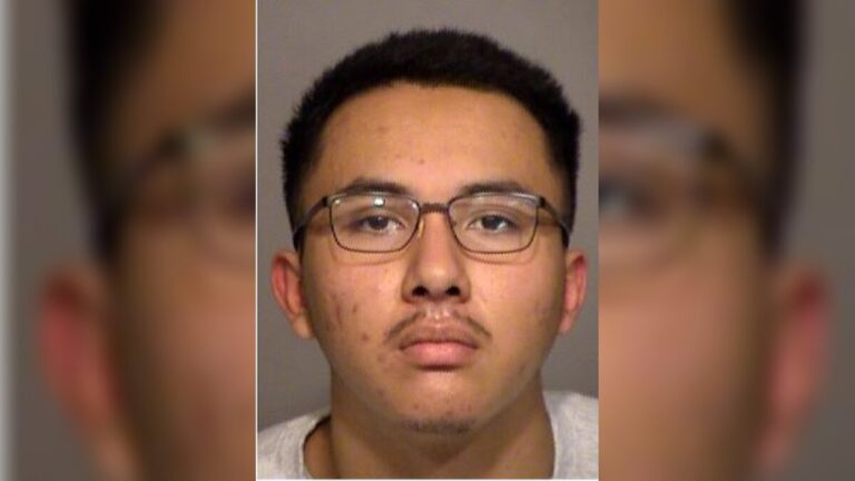Javier Gomez Pleads Guilty in Ventura County After Prosecutors Say Racial Slurs Led to a Brutal Bat Assault in Thousand Oaks