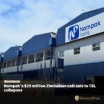 Nampak Reveals Mixed Results as South African Packaging Losses Slash Earnings While Angola Beverage Business Powers Remarkable Recovery
