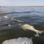 SAHRC slams Emfuleni municipality over sewage crisis as residents endure water shortages in Gauteng South Africa
