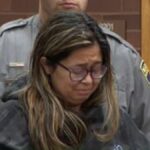 Connecticut Police Arrest Dominique Harrison, 28 in Murder Case Linked to Newborn Baby Found in Dumpster