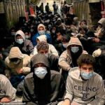 Iraqi Kurdish Migrants