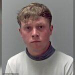 Levi Williams Gets Three-Year Sentence in UK Court After Punching Richard Wingrove to Death Outside Waggon & Horses Pub in Newmarket, Suffolk