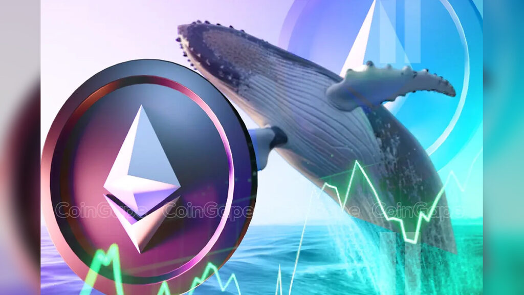 Santiment Data Reveals Ethereum Whales Increase Supply Control in Global Markets as Institutional Wallets Aggressively Buy ETH Across International Blockchain Networks