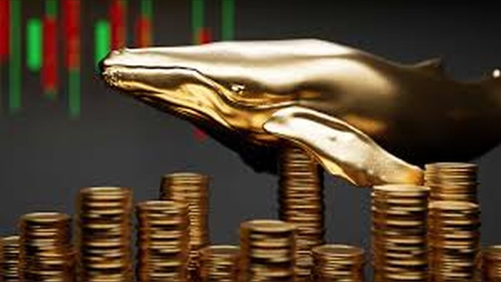 Controversy Erupts as Unknown Investor Sells 29 Million BlackRock IBIT Shares in Massive Exit Trade on Dark Pool Platform in U.S. Financial Markets