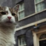 Six Prime Ministers Gone… But Larry Stays: What No 10 Doesn’t Want You to Realize