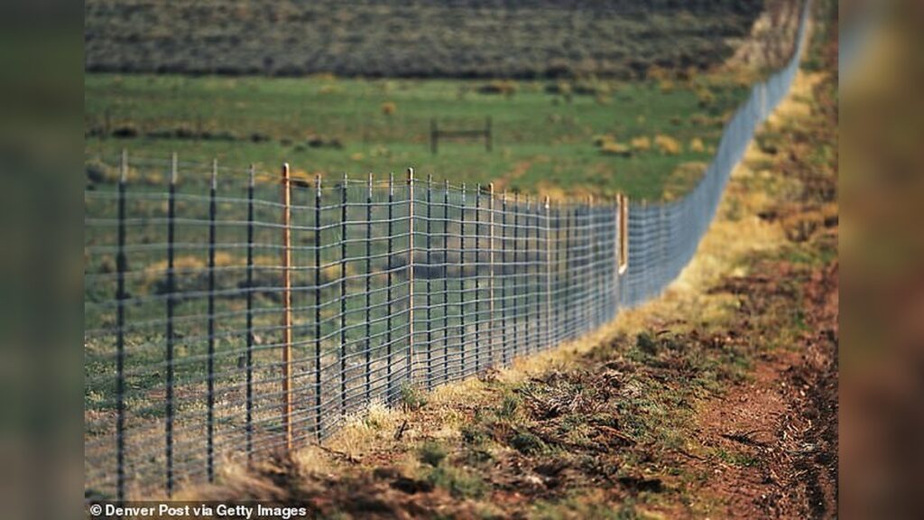 Wildlife Assessment Finds Cielo Vista Ranch Fence Restricts Animal Migration as Colorado Community Seeks Changes