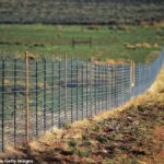 Wildlife Assessment Finds Cielo Vista Ranch Fence Restricts Animal Migration as Colorado Community Seeks Changes