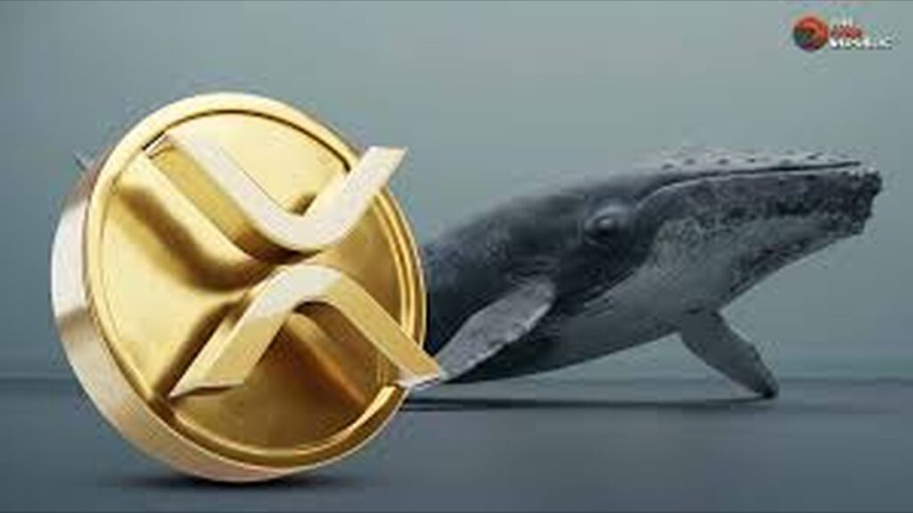 Panic Selling or Biggest Crypto Opportunity Yet? XRP Whales Make Their Move as Price Hits Rock Bottom