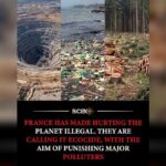 Federal Cash for Trees: Critics Question If Devon’s Erosion Project Is Real Climate Action or Just PR
