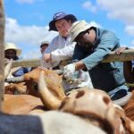 South Africa Rewrites the Rulebook: Farmers Get Lifeline as Government Loosens FMD Restrictions