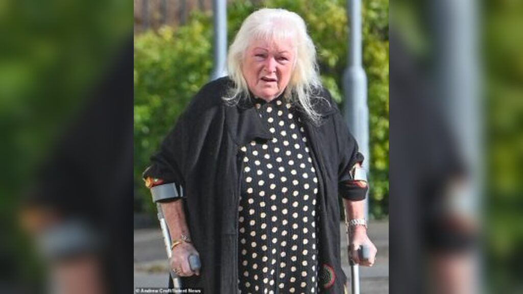 She Left a Lawnmower Running for an Hour Just to Ruin Their Party—Judge Finally Steps In