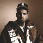 California Jury Orders Chris Brown to Pay Nearly $13 Million After Former Housekeeper Wins Dog Attack Lawsuit in Tarzana
