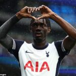 Fulham Make Surprise Move for Former Spurs Star While Bournemouth Close £17 Million Deal for Portugal Defender