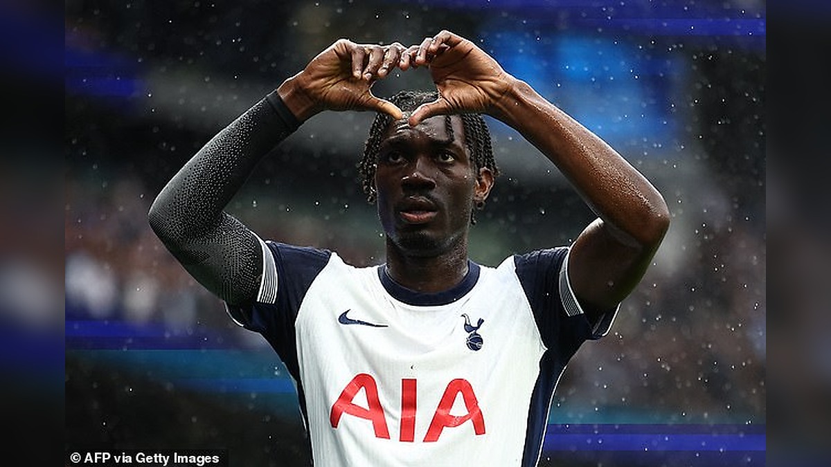 Fulham Make Surprise Move for Former Spurs Star While Bournemouth Close £17 Million Deal for Portugal Defender