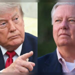 Lindsey Graham