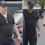 Matt LeBlanc