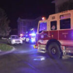 San Antonio Police Arrest Suspect After Deadly Apartment Complex Shooting Leaves Teen Dead and Five Wounded