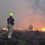 Suffolk Wildfire