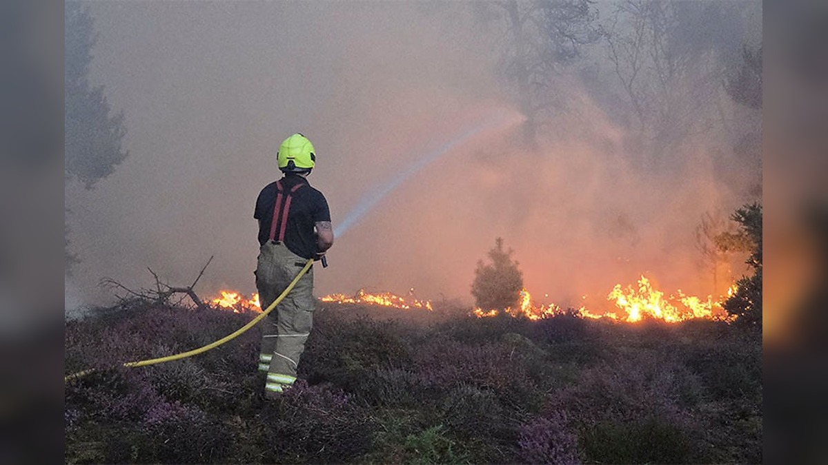 Suffolk Wildfire