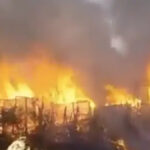 Wildfire