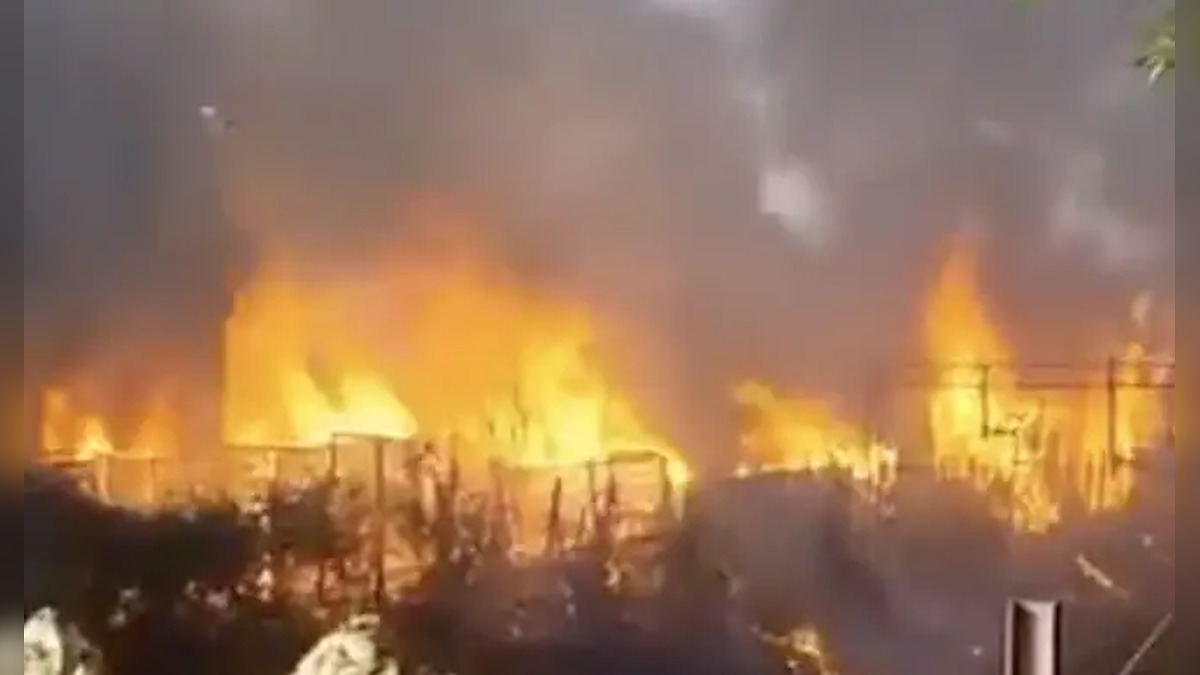 Wildfire