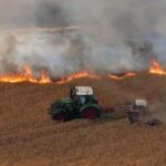 York Farmers