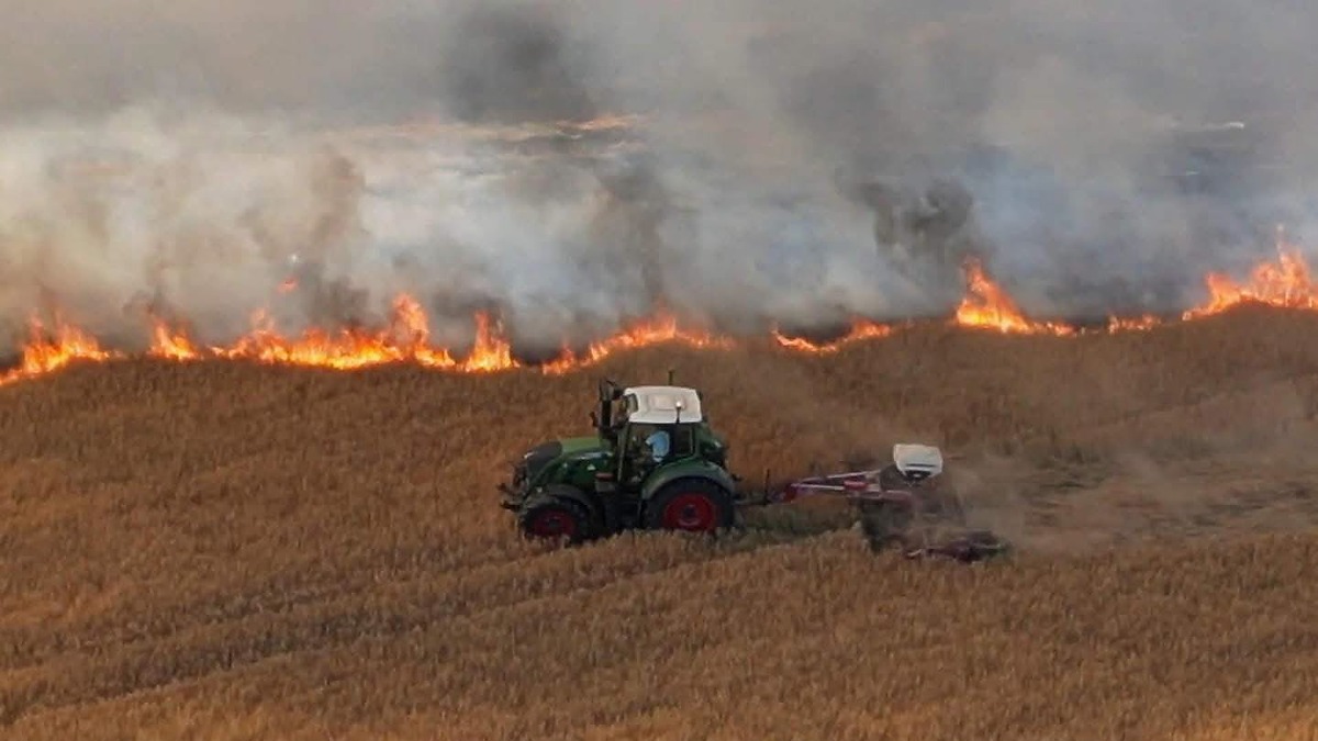York Farmers