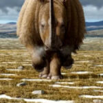 Ancient Puppy’s Last Meal Changes Everything as DNA Uncovers Startling Ice Age Discovery