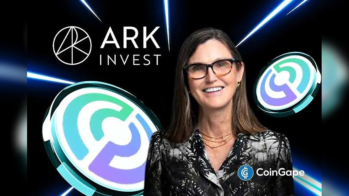Circle Stock Collapses 76% From Its Peak but Cathie Wood Keeps Buying the USDC Giant’s Painful Plunge
