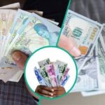 Fresh FMDQ Data Sparks Concern After Nigeria's FX Market Loses Nearly Half Its Trading Volume in Just One Week
