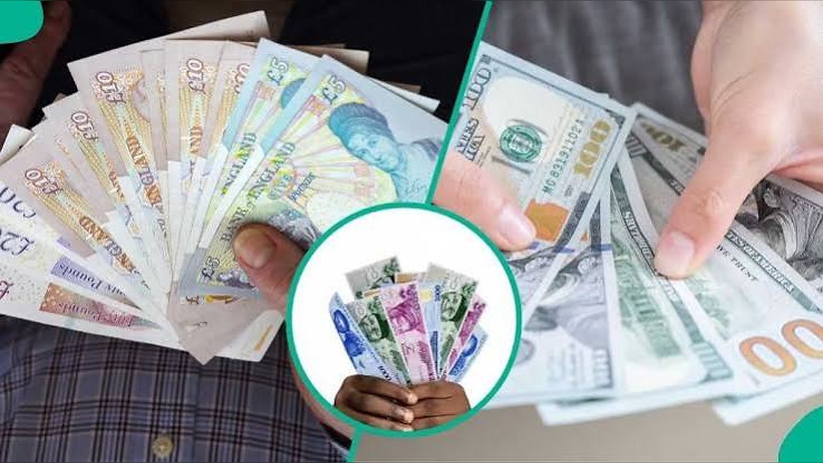 Fresh FMDQ Data Sparks Concern After Nigeria's FX Market Loses Nearly Half Its Trading Volume in Just One Week