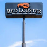 The Endless Shrimp Disaster Returns as Red Lobster Risks Repeating a Costly Mistake