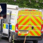 The Five-Hour Journey That Ended in Tragedy Police Reveal Disturbing New Details in Ann Widdecombe Murder Investigation