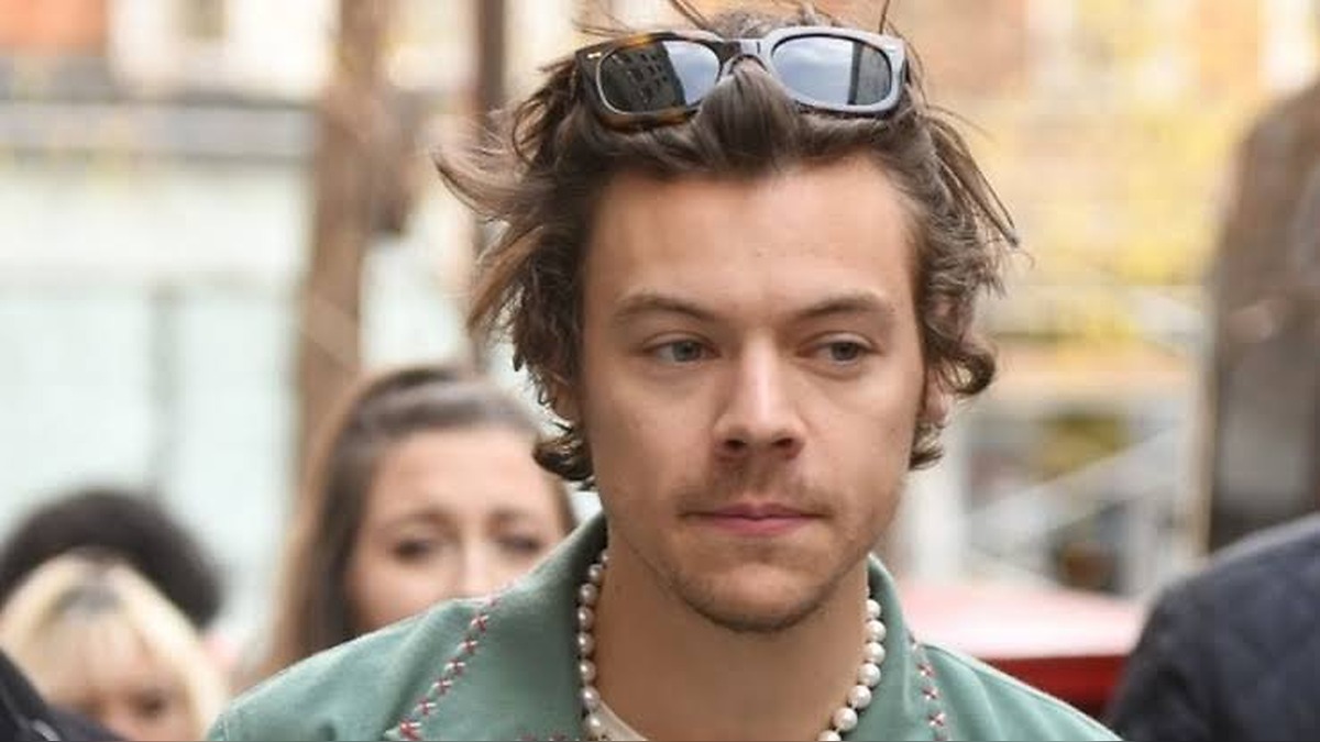 Gen Z’s Harry Styles Obsession Blamed for Shocking Inflation Spike That Forced Dutch Officials to Take Notice