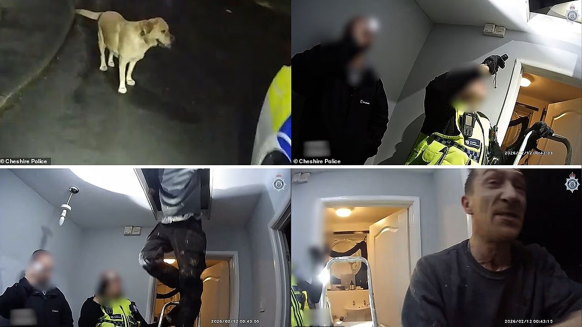 Fleeing E-Scooter Rider Abandons Dog, Only for Loyal Labrador to Lead Police Straight to Him