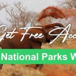 South Africans Can Enter Selected National Parks for Free in September but SANParks Warns Visitors About Exclusions and Extra Costs