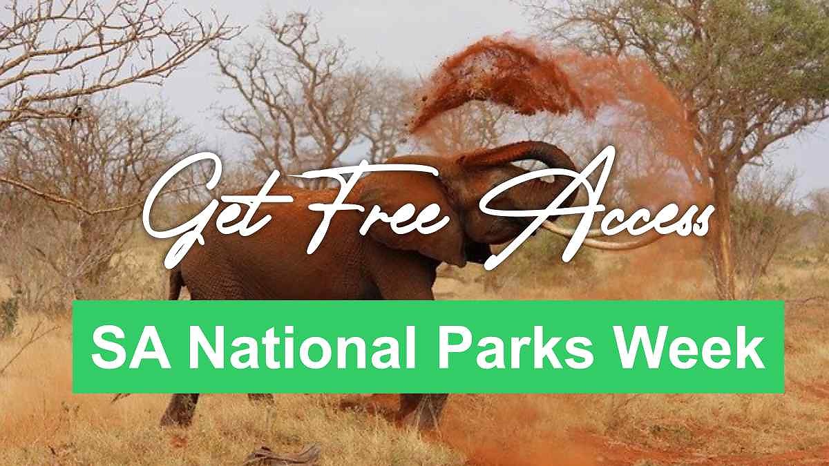 South Africans Can Enter Selected National Parks for Free in September but SANParks Warns Visitors About Exclusions and Extra Costs