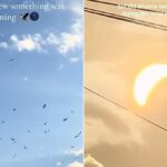 Solar Eclipse
