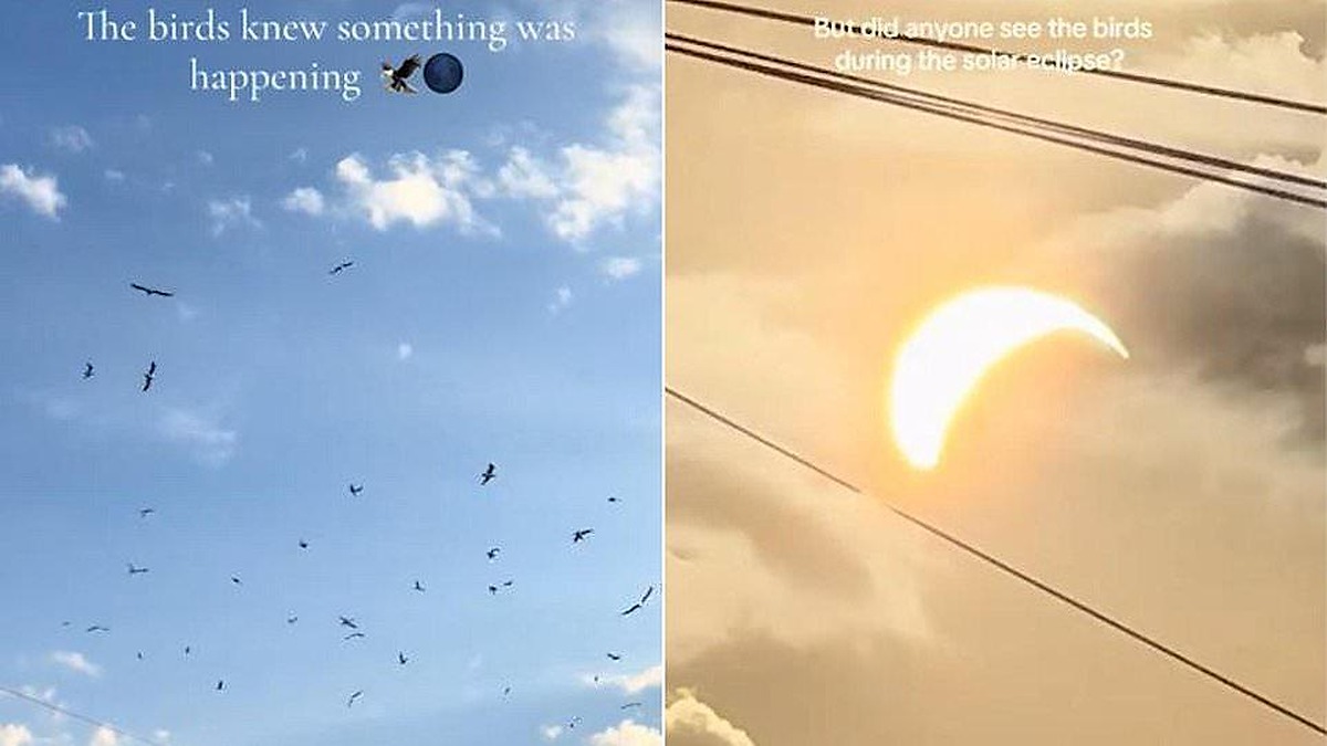 Solar Eclipse