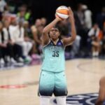 Toronto Tempo Faces Backlash Over Dez the Non-Binary Turtle as Mascot Debuts During High-Profile Indiana Fever Clash