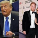 Donald Trump, Prince Harry and Meghan Markle